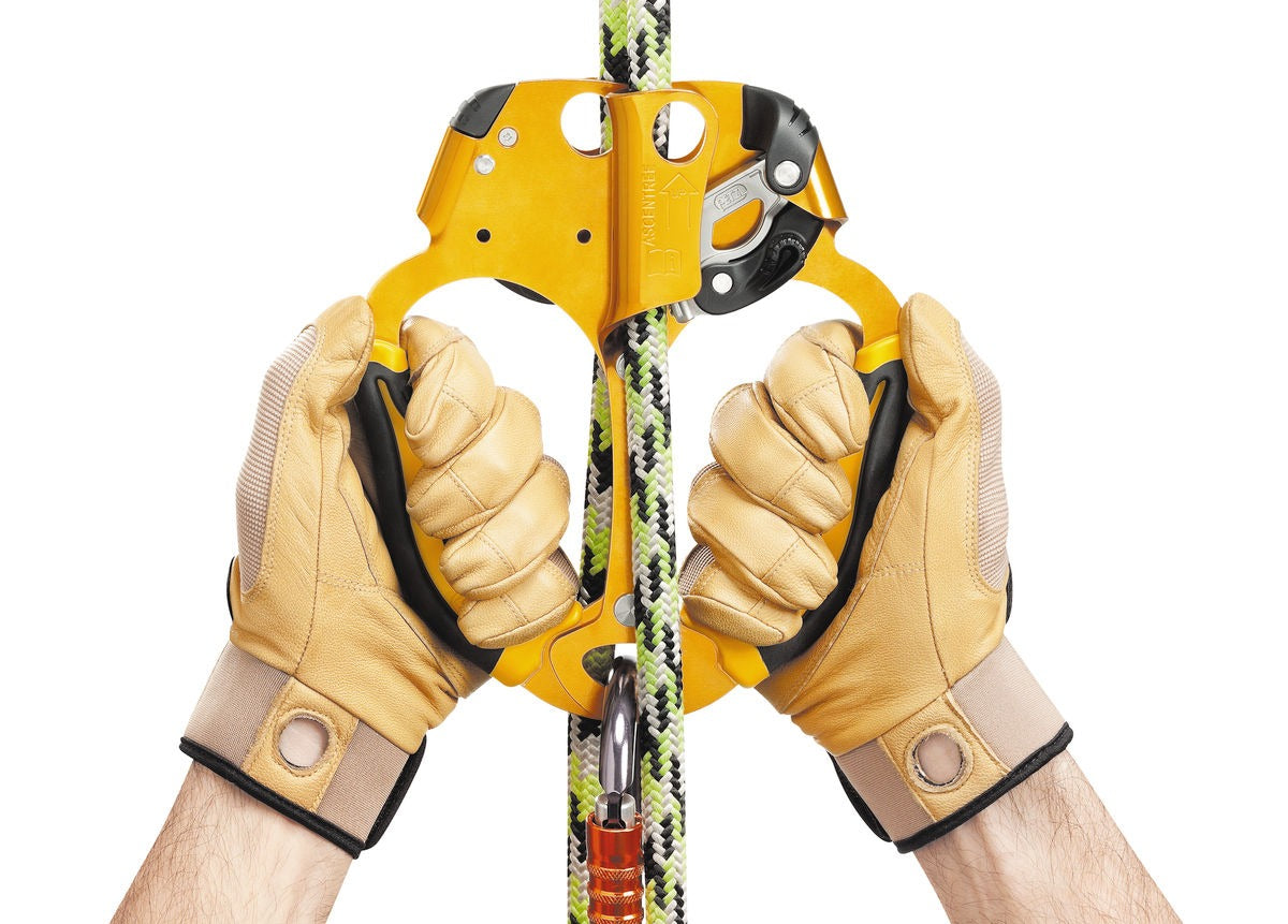 Petzl ASCENTREE Doppelte Handsteigklemme für die Baumpflege