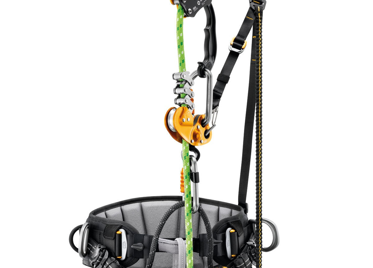Petzl SEQUOIA® SRT Sitzgurt für Baumpflege & SKT