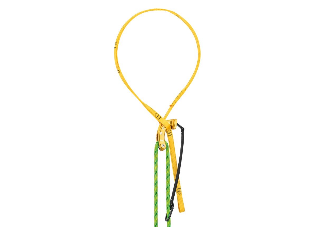 Petzl NAJA Kambiumschoner mit Umlenkrolle für die Baumpflege