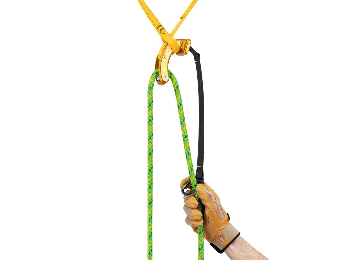 Petzl NAJA Kambiumschoner mit Umlenkrolle für die Baumpflege