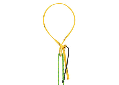 Petzl NAJA Kambiumschoner mit Umlenkrolle für die Baumpflege
